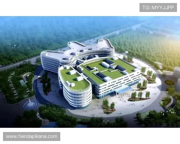 探索k8凯发国际官网在线上娱乐领域的优势与特色