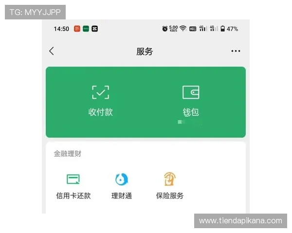 揭秘凯发电子娱乐的安全性，如何保护你的隐私与资金