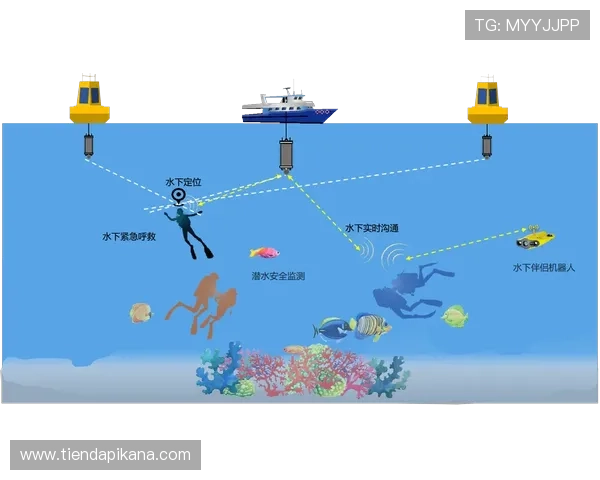 觊发k8娱乐不断优化用户体验，提供安全可靠的线上娱乐解决方案