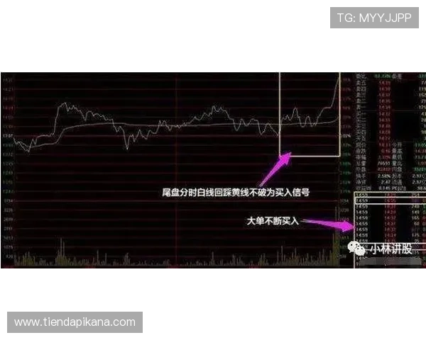 凯发体育滚球盘：掌握盘口变化规律提升投注精准度的实战经验分享