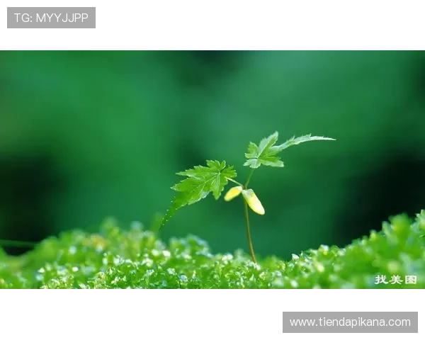 凯时人生就是赌：面对人生的各种诱惑，如何坚持自己的原则与底线